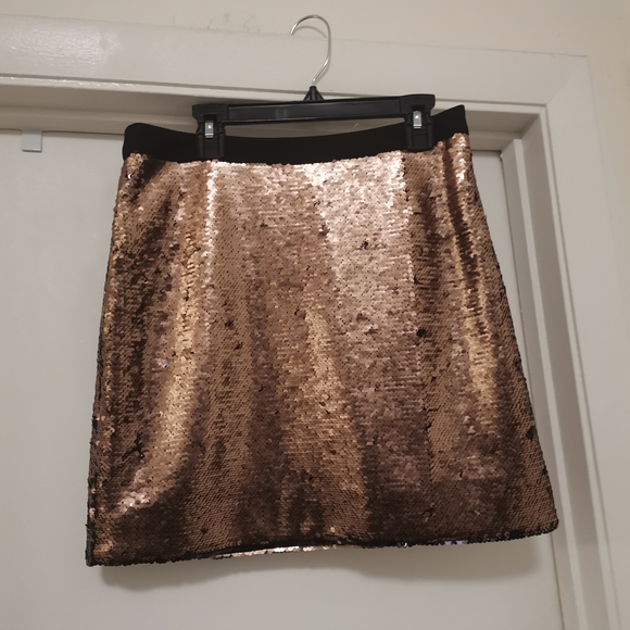 Ted Baker London Dresses & Skirts - Ted Baker London Bronze Sequin Mini Skirt